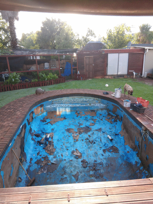 Full pool resurface & renovation - before